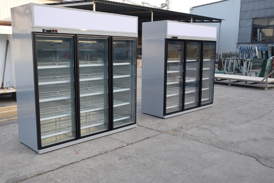 Multi refrigerador ereto da plataforma com a porta de vidro vitrificada dobro