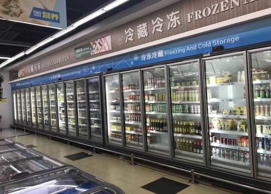 Carel Thermostat Commercial Upright Freezer para o alimento congelado