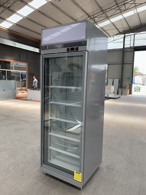 Refrigerador comercial da bebida da garrafa com a uma porta de vidro do balanço