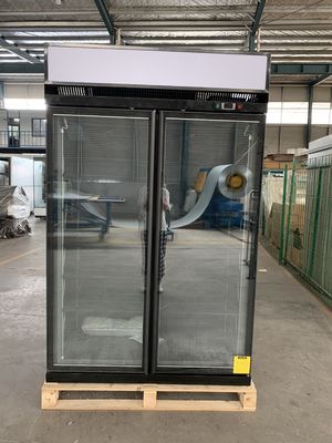 Refrigerador de vidro dobro ereto da porta de R404a com vidro livre de Frost baixo E