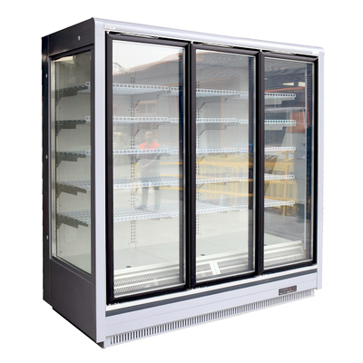 Anúncio publicitário de vidro vitrificado triplicar-se do refrigerador da porta para o gelado e alimentos congelados